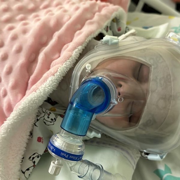 Rifa em prol da Vida da Gigi Pardini 🙏🏻