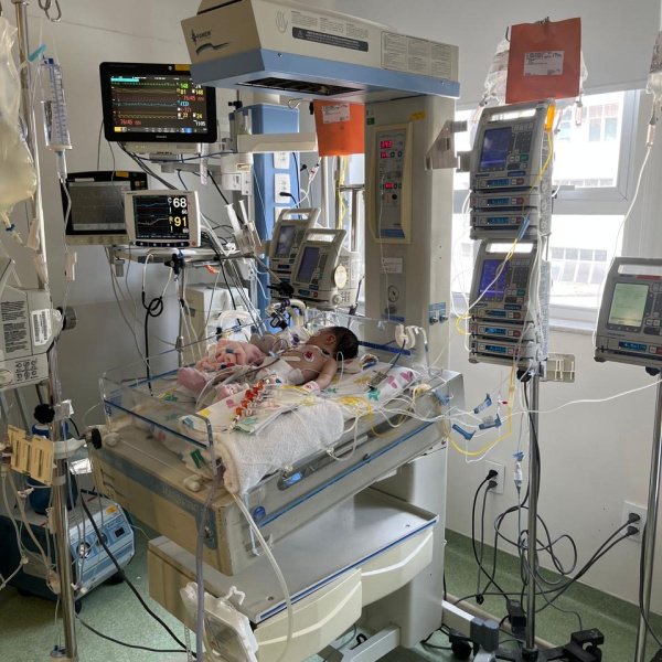 Rifa em prol da Vida da Gigi Pardini 🙏🏻